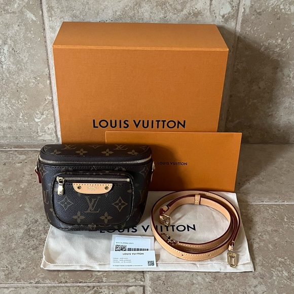 Louis Vuitton Brooklyn Bum Bag - Brown Mini Bags, Handbags - LOU14548